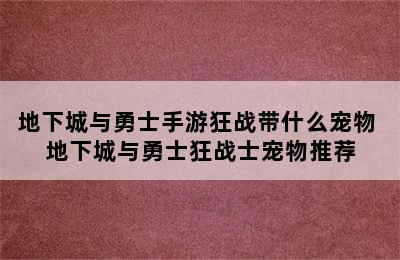 地下城与勇士手游狂战带什么宠物 地下城与勇士狂战士宠物推荐